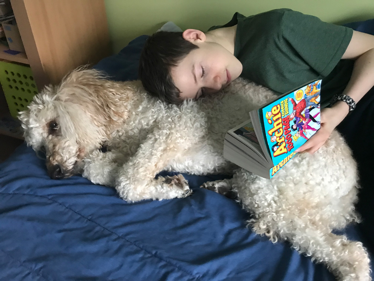 boy with pet dog